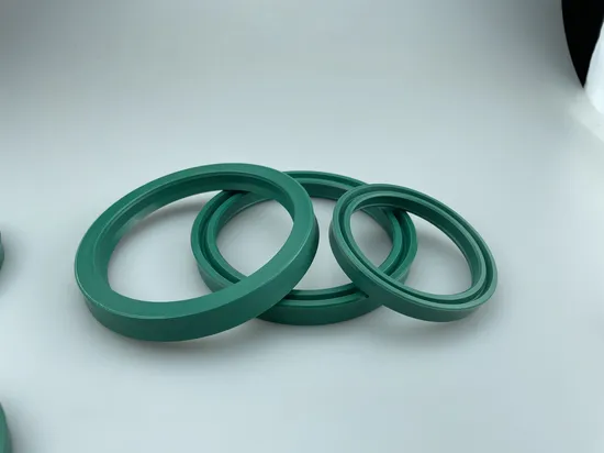 Corrosion Resistant High-Temperature Seal with Durable NBR FKM Material